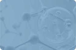 P113+獨家專利活性肽